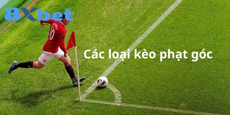 Các loại kèo phạt góc 8xbet