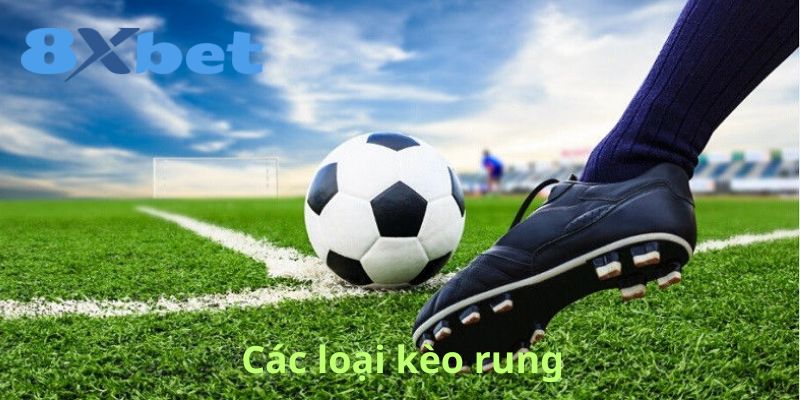 Các loại kèo rung 8xbet