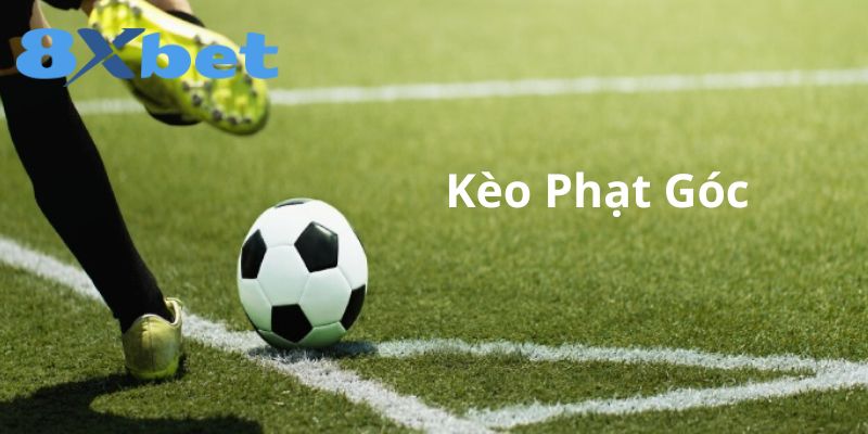 Kèo phạt góc 8XBET là gì?