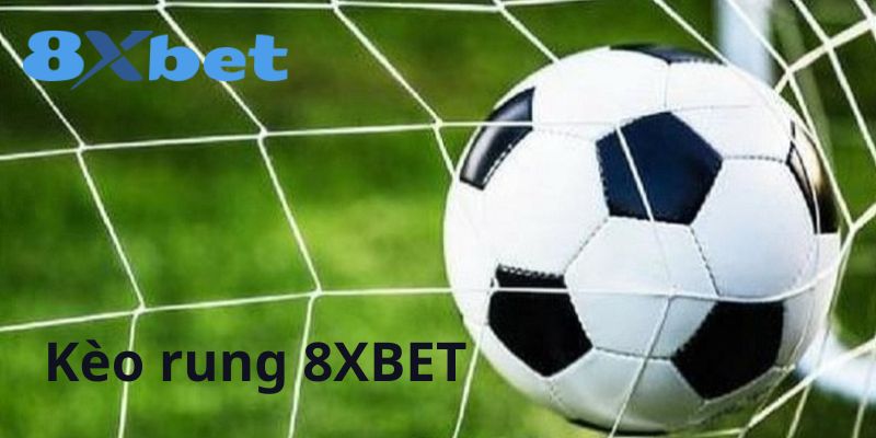 Kèo rung 8xbet